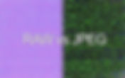 你一定要知道的事：RAW 與 JPEG 的比較