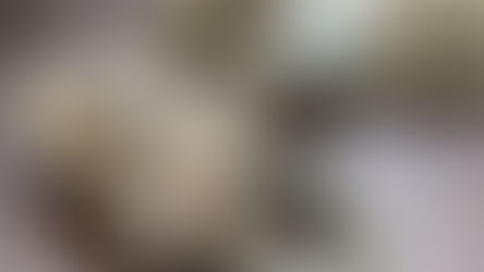 民國31年,美國陸軍M4輕型防毒面具含M6攜行袋(1942 M4 Lightweight ARMY Service GAS Masks with M6 carrier)