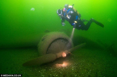 解開海底時空膠囊之謎：保存完美的納粹飛機經確認為開往東線死亡之路的空降運輸機