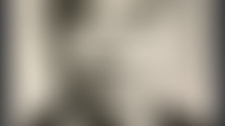 台灣省長 謝東閔,民國67年3月18日