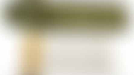 民國31年,美國陸軍,M1A1及M2型4.2英寸迫擊砲,一號射表計算尺(序號:19035)、二號射表計算尺(序號:20033),M-67攜行袋