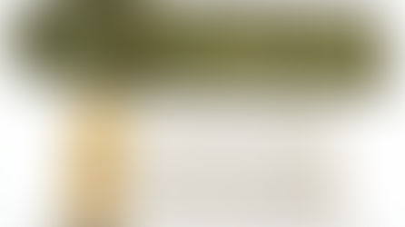 民國31年，美國陸軍，M1A1及M2型4.2英寸迫擊砲，一號射表計算尺(序號:19035)、二號射表計算尺(序號:20033)，M-67攜行袋