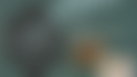 Zenith Radio(增你智): The Glory Years, 1936-1945: Illustrated Catalog and Database, 2003