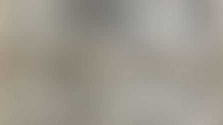 東京 毎日新聞(民國32年|主曆1943年) 昭和18年12月13日 赫々たり中支軍総合戦果,十三個師を殲滅,撃滅撃破は十四個師