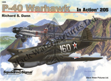 P-40 Warhawk in action - Aircraft No. 205 Paperback – July 25, 2007,by Richard S. Dann (Author)