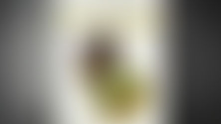 The Marine Chronometer: Its History and Development, John Cronin