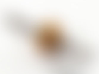 美國海軍漢米爾頓 21 型航海天文鐘帶轂擺輪軸(02)