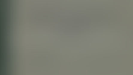 INDIVIDUAL SCORE BOOK FOR THE RIFLE W.D.,A.G.O. Form No.82 April 1941