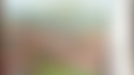 廈門市全景,臺灣·共榮會發行《Black Water Museum Collections | 黑水博物館館藏》