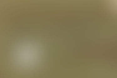 精是學校(1947)36年班畢業同學留台通訊錄