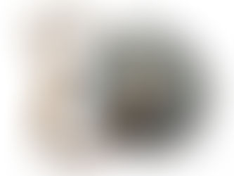 「追風之馬」銅製打馬錢(二戰駐華美國陸軍航空隊幸運符)