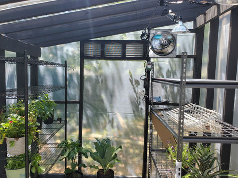 Greenhouse