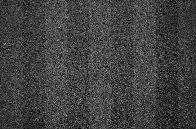 4567374 copy_edited_edited_edited.jpg