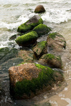 PSZ_0085.jpg