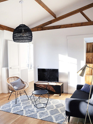 appartement ouvert sous les toits, charpente apparente, loft, agencement et décoration