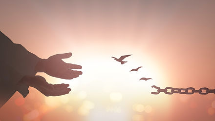 shutterstock_465078689.jpg