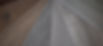 shutterstock_1760279543.jpg