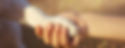 A dog putting paw into a hand