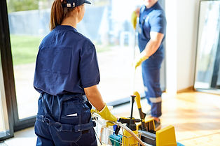 professional cleaning crew