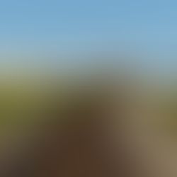 Undisclosed Pharmaceutical Firm, Elkton, VA