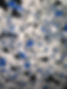 IMG_5807.jpeg
