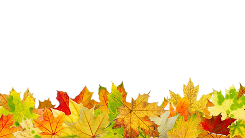 leaves.png