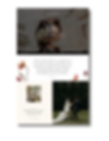 ella temp.png