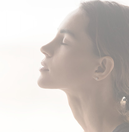 How does Wellness Works roll out