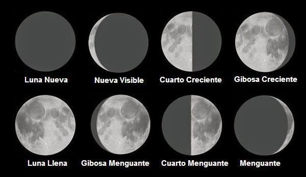 Fases de la Luna