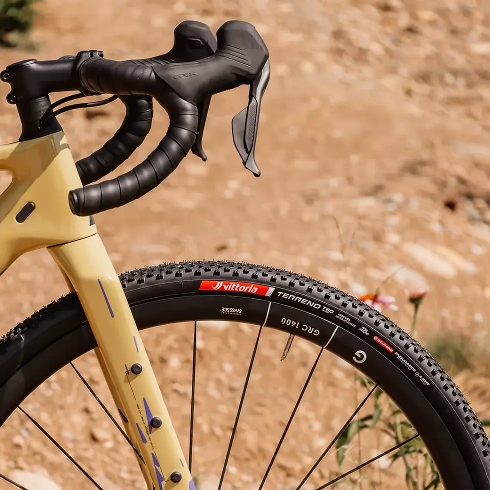 Thumbnail: Vittoria T-60 Endurance TLR