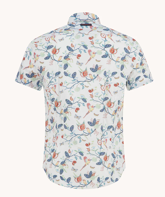 Thumbnail: A Fish Named Fred Birdy Blooms