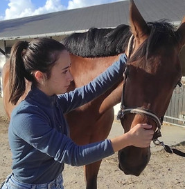 cheval et ostéopathie