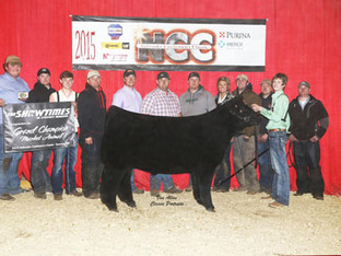 2015 NE Cattlemen's