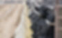 AdobeStock_96313693.jpeg