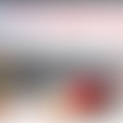 Frohe Weihnachten und einen guten Rutsch ins Neue Jahr! 🎄❤️🤍