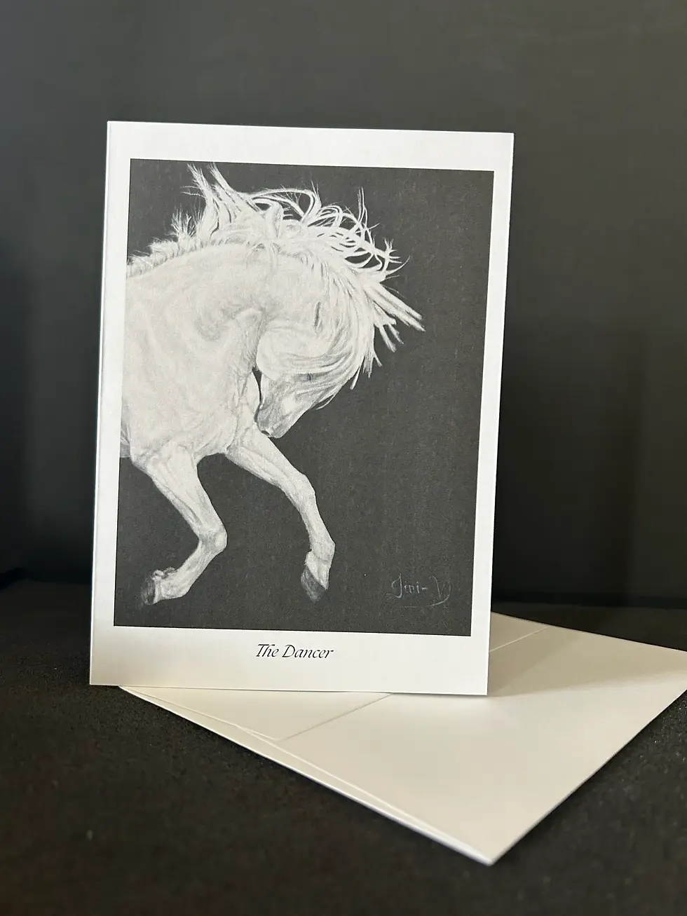 Thumbnail: Mystery Variety 12 Pack of Blank Notecards