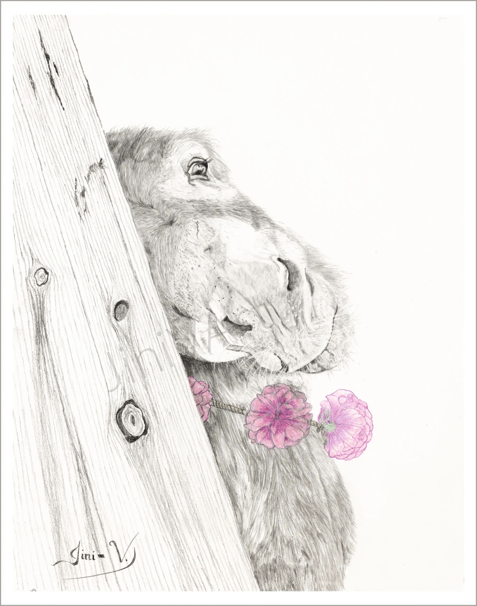 I'm So Sexy- Open Edition Print 11x14