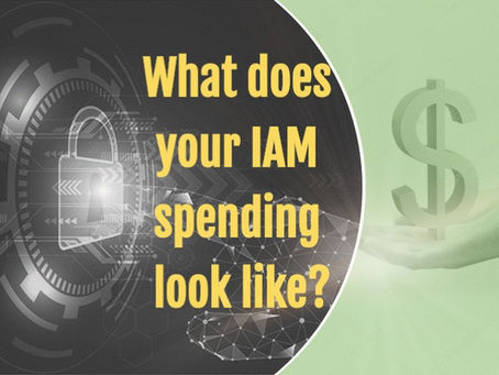 What does your IAM spending look like?