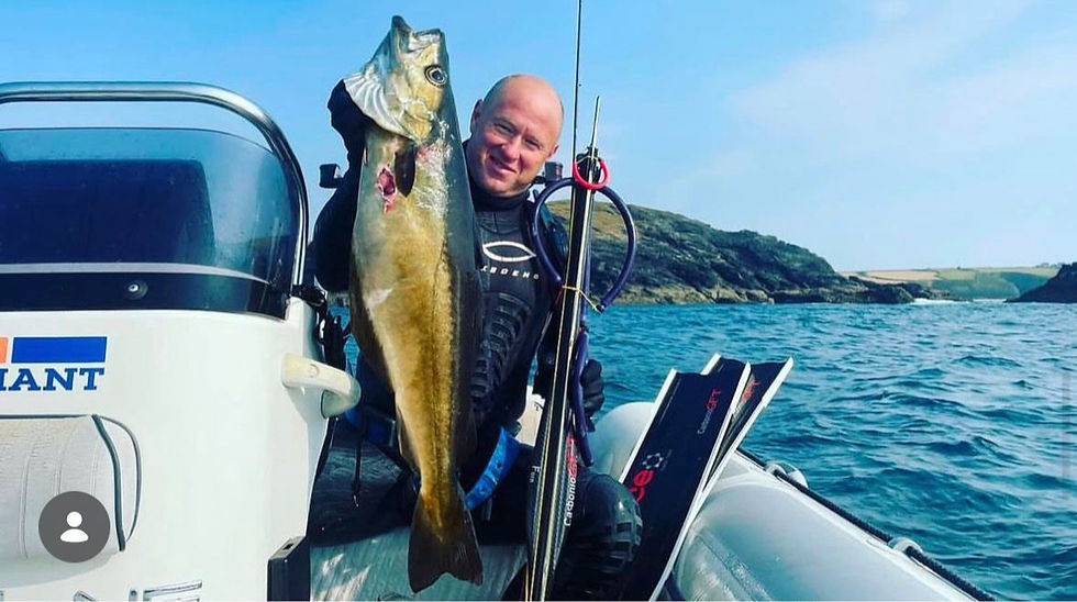 Spearfishing UK