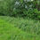 Thumbnail: FARMMASTER-PRO HHVFL-110 HEAVY DUTY VERGE FLAIL MOWER by Del Morino