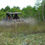 Thumbnail: CFMOTO UFORCE 1000 – UTV for Sale