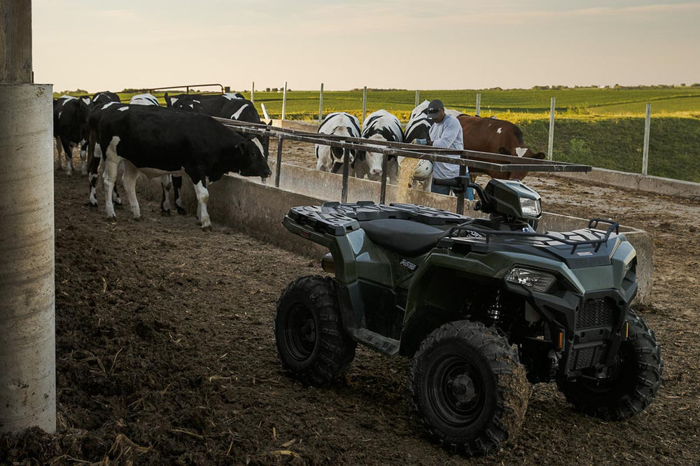 quad bike dealership