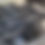 Thumbnail: Kioti UTV 2400 K9 (Demo Model)