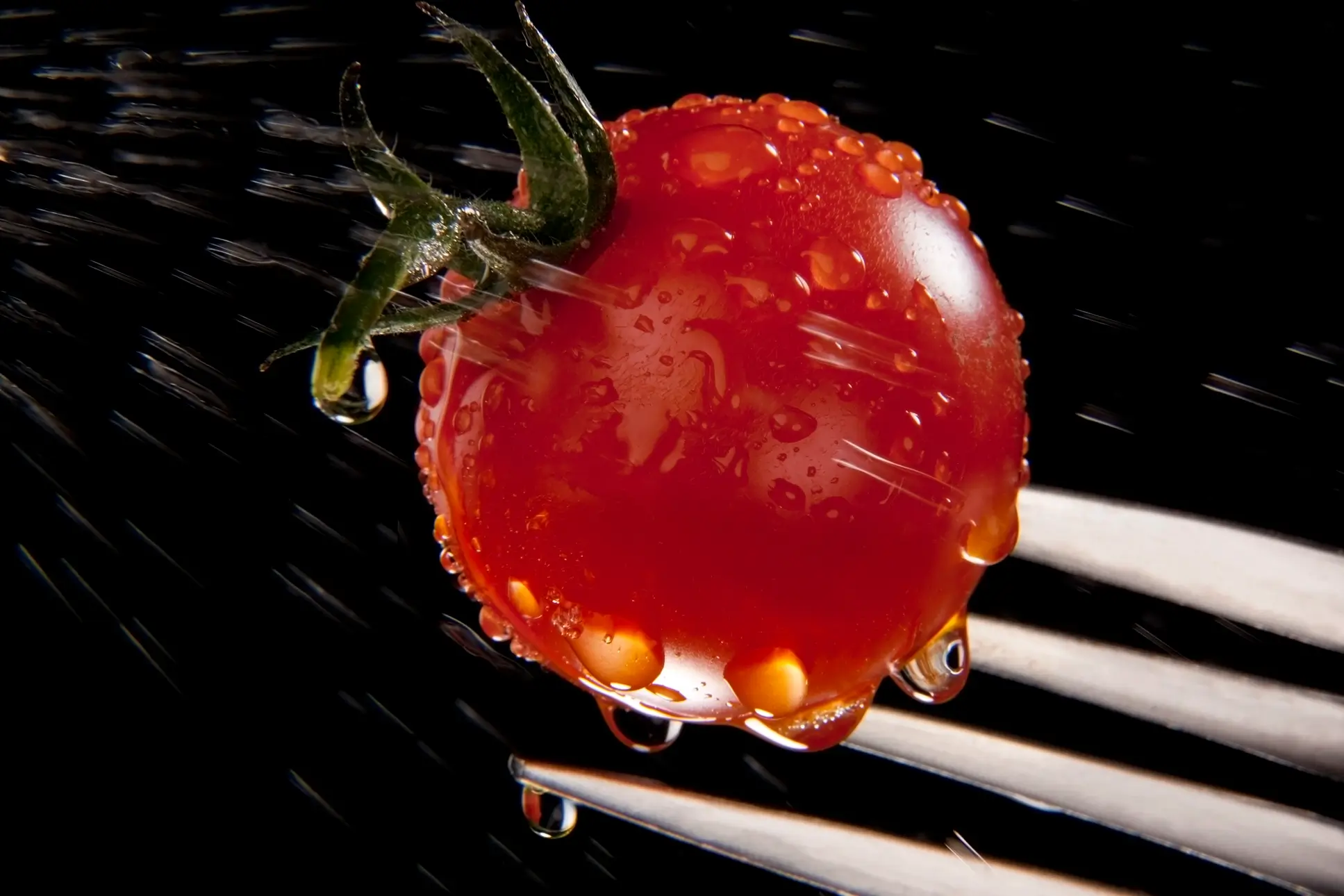 Yazarın fotoğrafı: İpek 