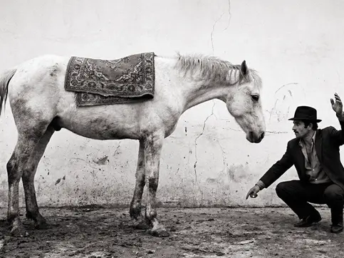 Gemini 3 Pro | Gypsy with Horse 