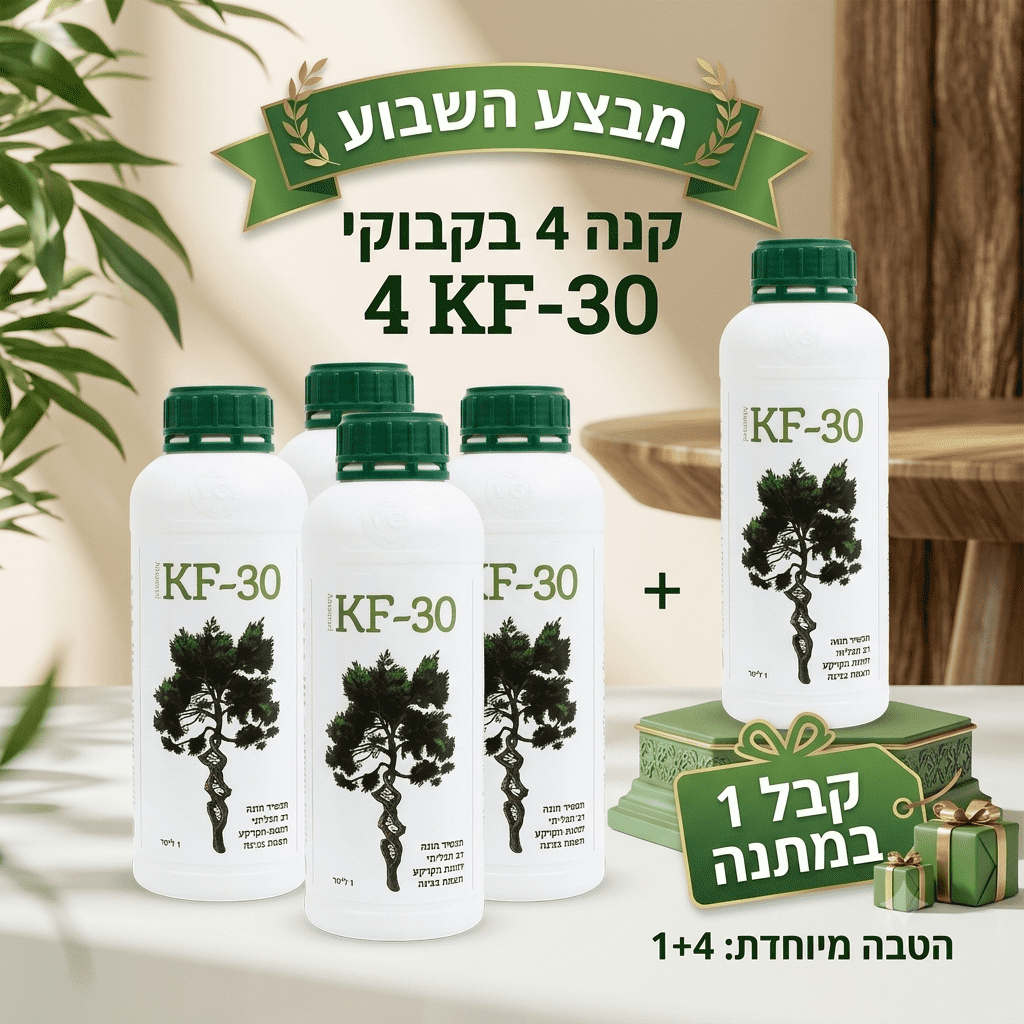 KF30 במבצע