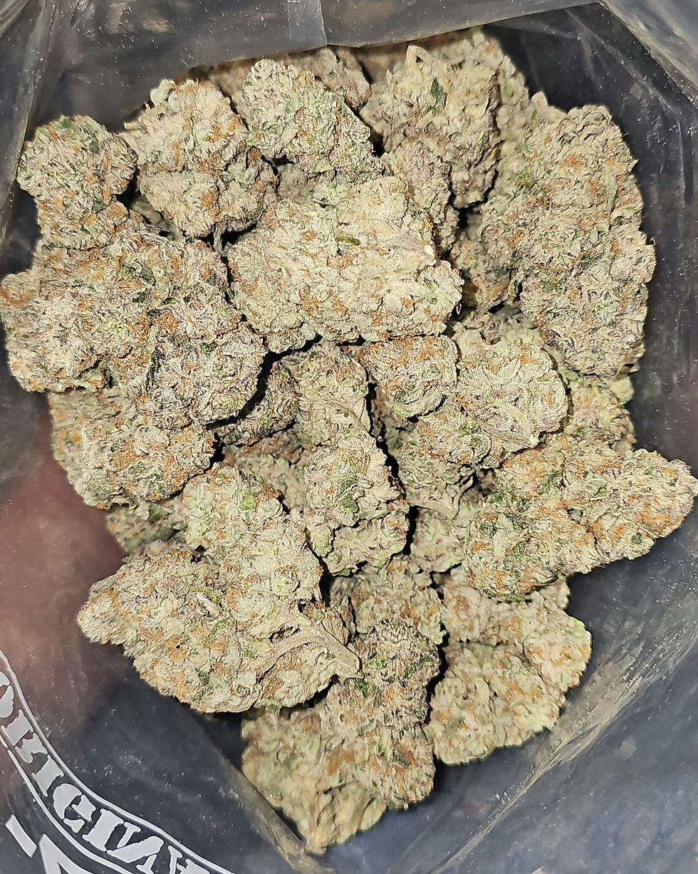 White Walker 14g - AAAA - Hybrid