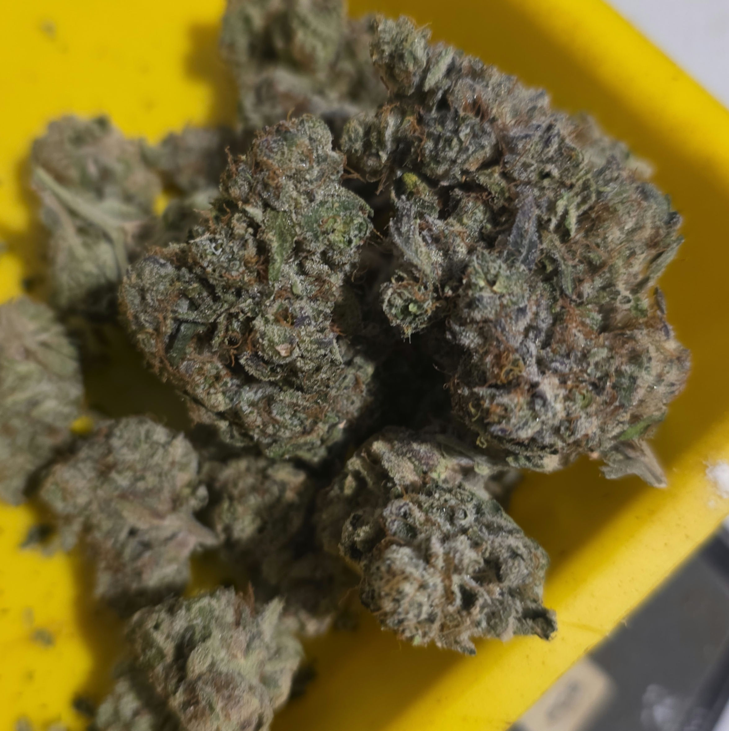 Afghan Dolato 14g Indica 