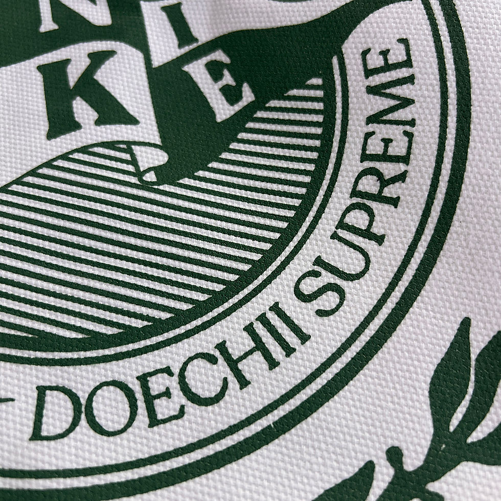 サムネイル： NIKE x Doechii Swamp Dept TOTE BAG
