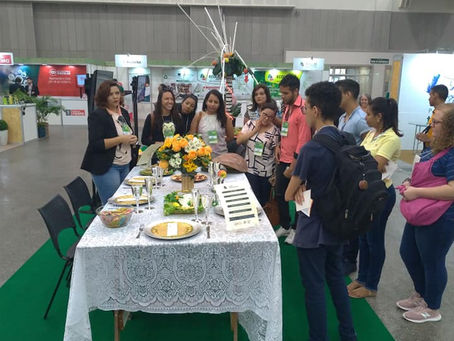 Educação e Arte Ambiental